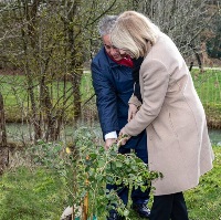 سفير قطر لدى فرنسا يغرس أول شجرة سدرة في حدائق "قصر فرساي"
