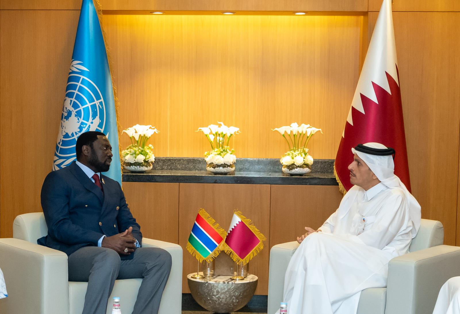 Deputy Prime Minister and Minister of Foreign Affairs Meets Minister of ...