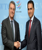 Deputy Prime Minister and Minister of Foreign Affairs Sends Written Message to WTO Director-General